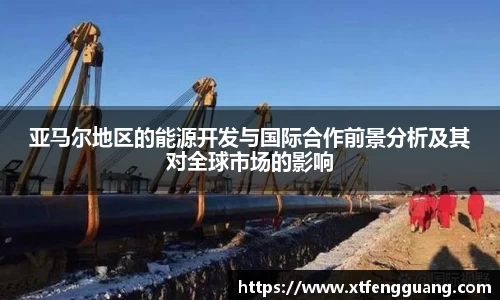 亚马尔地区的能源开发与国际合作前景分析及其对全球市场的影响